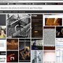 articles